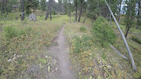 Lower Gazelle Creek Trail part 2