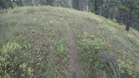 Lower Gazelle Creek Trail part 1