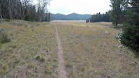 Wolverine Basin to Gazelle Creek