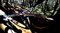 Bobsled!