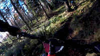 biking with Aaron