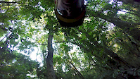 Trilha do Quati