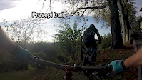 Presepi trail