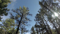 A quick romp in left hand canyon