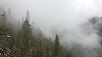 Foggy morning ride