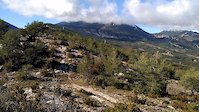 Cambrotes after the forest.