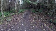 Ditch Pig Hot Lap POV