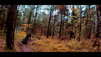 SENDURO Team in the swiss woods