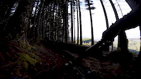 The Last Best Day at Cold Creek