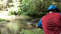 Chilly stream crossing on Buffalo girl
