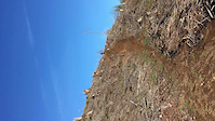 OD Dowhill