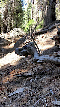 Gee's Crash off rock drop