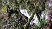 Two Creeks to Wildebeest