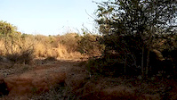 Small drop for man, big drop for Indian xc dom