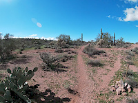 Mohave Trail. Gold Canyon.