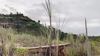 Monte Realengo MTB trail