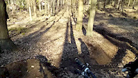 krótki edit z suliwoods i sekatorów