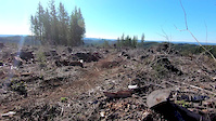 great trails today