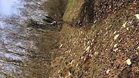 Kidz Enduro