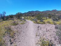 Saguaro Vista trail and Roller Coaster trail....