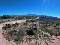 Honeybee Trail