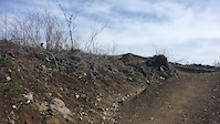 first jumps on Cedar Dust black line