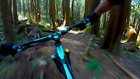 Morning Ride