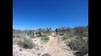 Tucson- April 2019