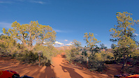 Wildcat Flow Trail