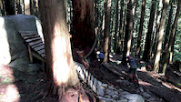42 seconds of Fromme fun