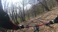 Saben onboard