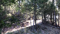 Wood wall ride on S-LINE