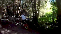 bmx
