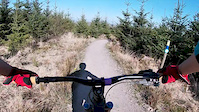 Terry's Belly Bike park Wales