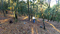 4Lobos Riders DH Trail building Day 6