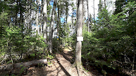 Trail Preview - Curves