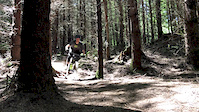 Loamy Cruising in Port Gamble