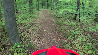 Lake Ann DH section