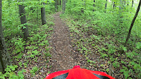 Lake Ann DH section
