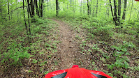 Lake Ann DH section to river
