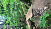 Macho Mango Bridge