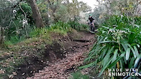 3boys-2berms