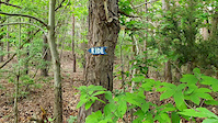 O'track trail