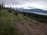 Ellison Connector POV