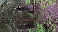 Stump Drop on Ryans Ravine