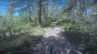 Spruce MTN