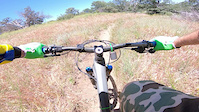 last dh section