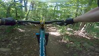 Tree check at Black Mountain