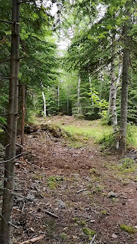 Nouvelle trail, nouveaux drops