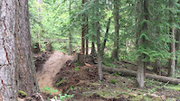 Flow section